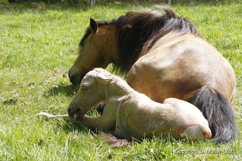 Hjoerdis 9 Min alt (2).JPG